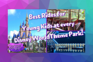 Blog Post Feature Disney Rides