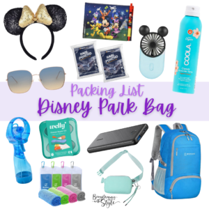 IdeaImage_DisneyThemeParkBag