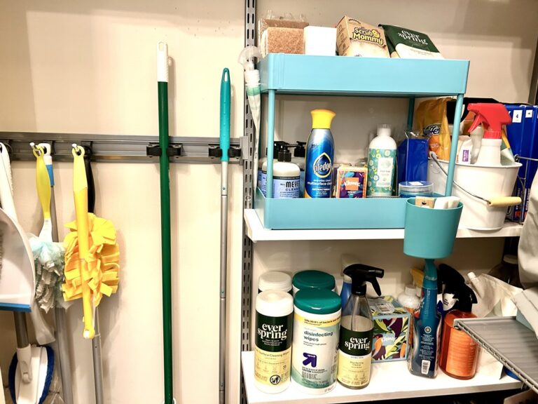 Shelfcleaning Routine Home Clean Routine Schedule | Cleaning Planner Printable