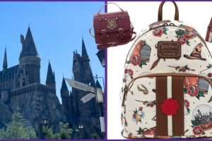 Featured Universal Studios Theme Park Bag