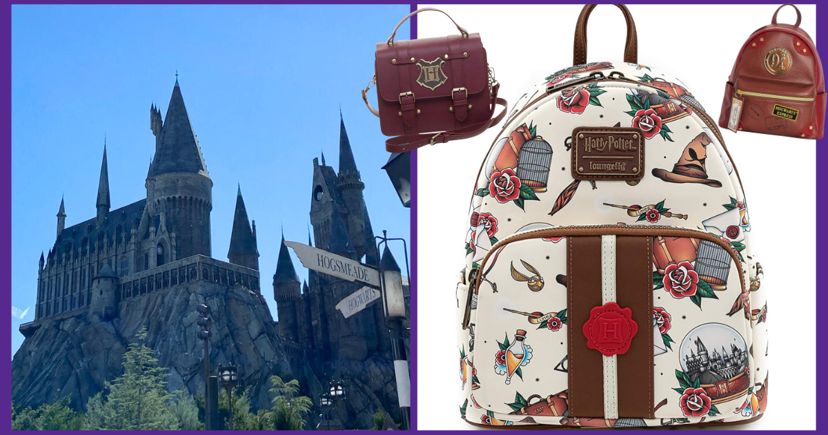 Universal Studios Theme Park Bag Essentials