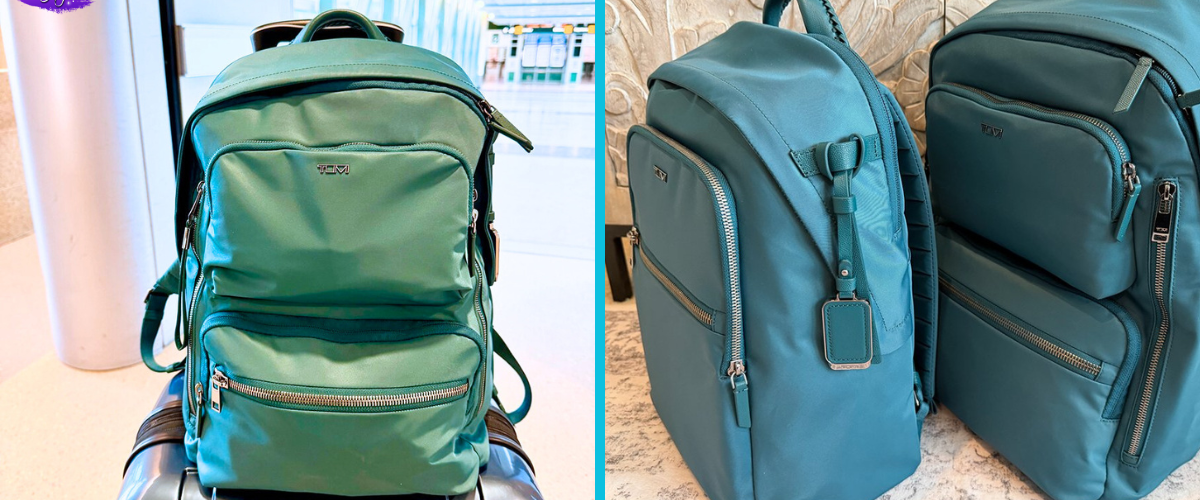 TUMI Backpack Comparison | Voyageur Halsey vs  Voyageur Montana